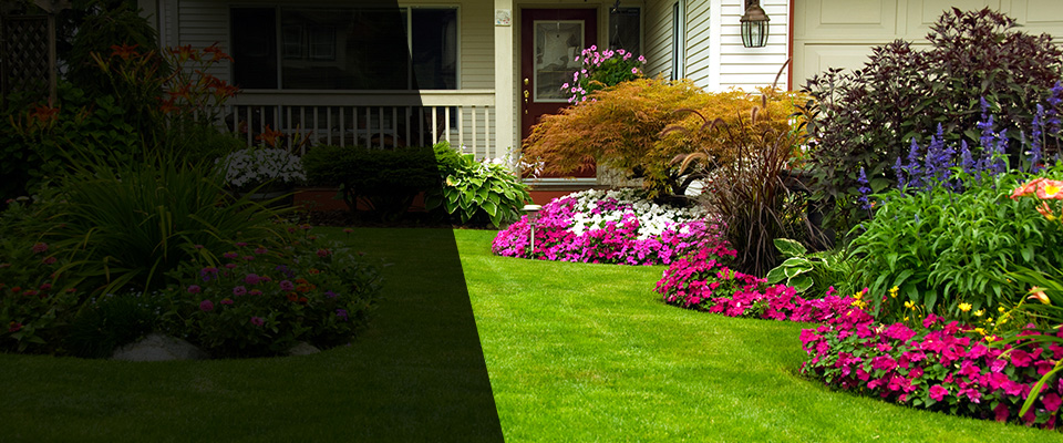 Bridgewater Landscapers